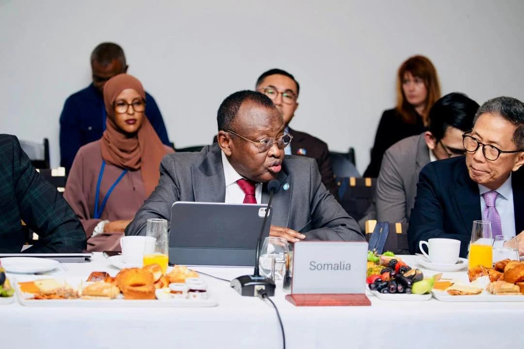 Somalia Engages Global Leaders on Climate Mobility and Resilience