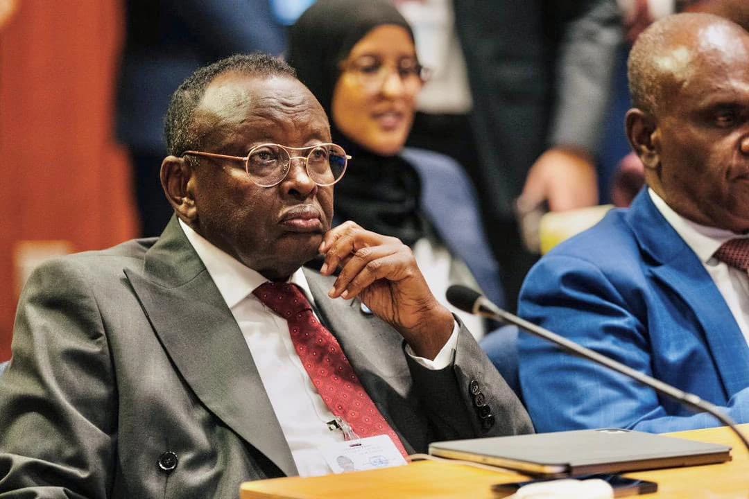 Somalia Leads East Africa with Ambitious NDC 3.0 Climate Plan