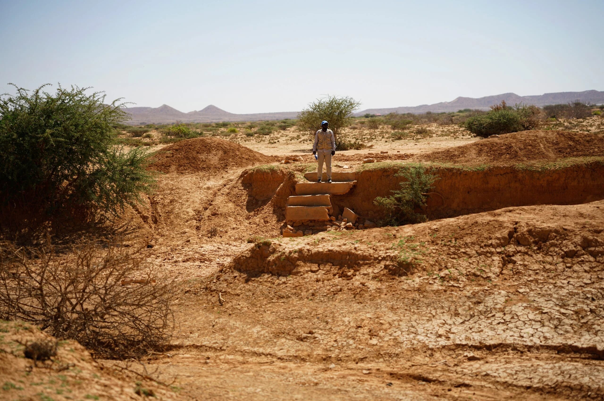 FAO works with Somali government to join global fight against climate change