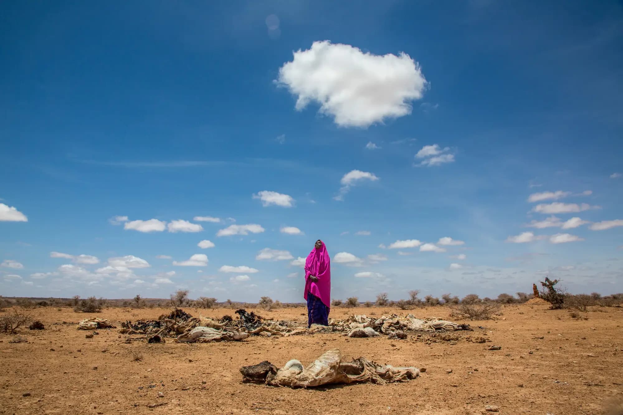 National Drought Plan For Somalia