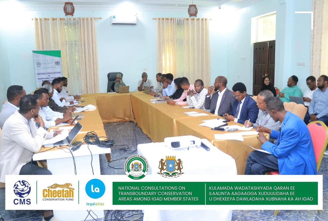 NATIONAL CONSULTATIONS on Transboundary Conservation Areas among IGAD Member States